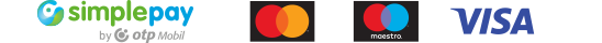 payment icon